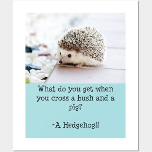 Hedgehog Joke Posters and Art